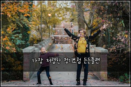 ๊ฐ์ฅ ์ ๋ ดํ ์ ๊ธฐ๋ณดํ ๋ ๋ ํ๋