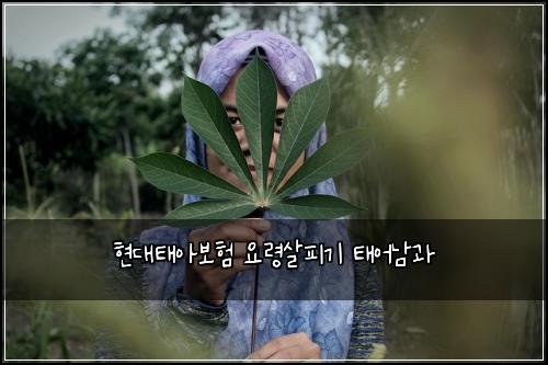 현대태아보험 요령살피기  태어남과