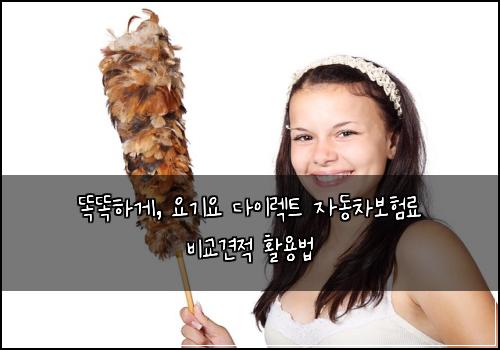  똑똑하게, 요기요 다이렉트 자동차보험료 비교견적 활용법