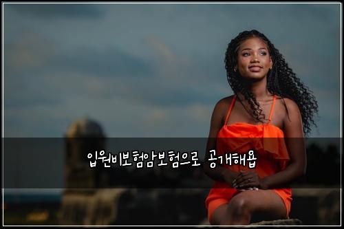 입원비보험암보험으로 공개해욥