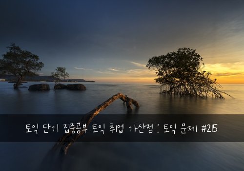 토익 단기 집중공부 토익 취업 가산점 : 토익 문제 #215