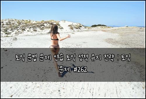 토익 문법 문제 연습 토익 성적 유지 전략 : 토익 문제 #262