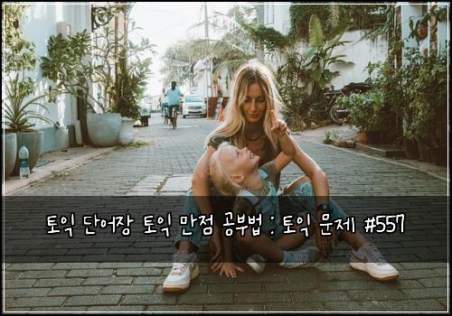 토익 단어장 토익 만점 공부법 : 토익 문제 #557