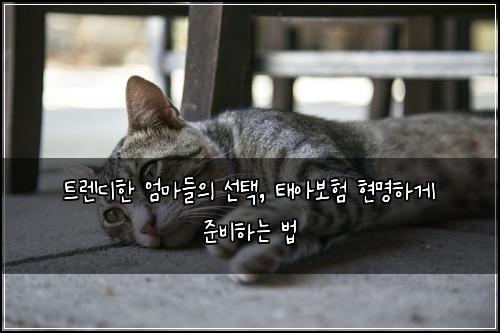  트렌디한 엄마들의 선택, 태아보험 현명하게 준비하는 법
