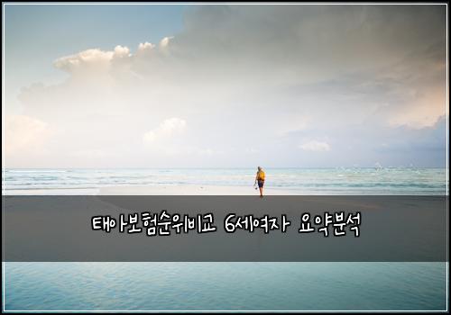 νμ보νμμλΉκ΅ 6μΈμ¬μ μμ½λΆμ