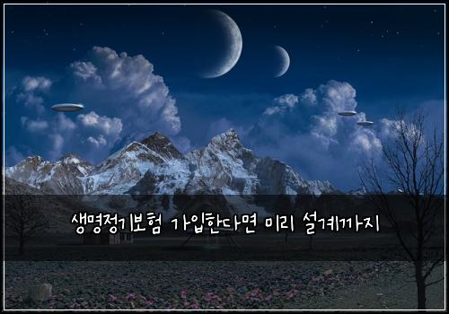생명정기보험 가입한다면  미리 설계까지