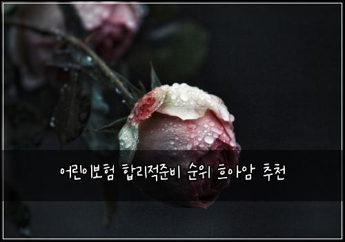어린이보험 합리적준비  순위 흐아암 추천