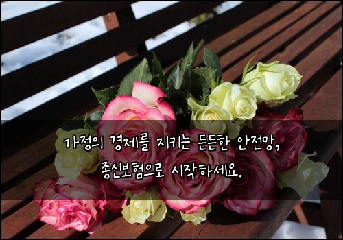 가정의 경제를 지키는 든든한 안전망, 종신보험으로 시작하세요.