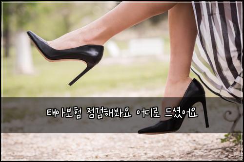 ํ์๋ณดํ ์ ๊ฒํด๋ด์ ์ด๋๋ก ๋์
จ์ด์