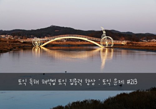 토익 독해 해석법 토익 집중력 향상 : 토익 문제 #213