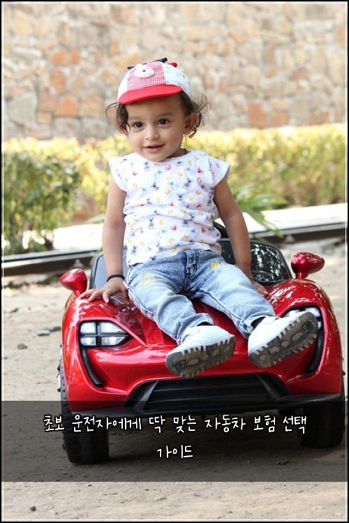 초보 운전자에게 딱 맞는 자동차 보험 선택 가이드