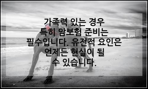 오늘의 이미지
