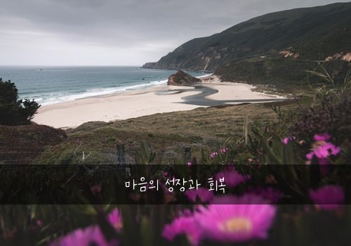 마음의 성장과 회복