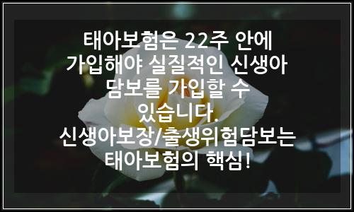 오늘의 이미지
