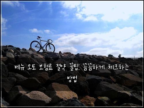 베뉴 오토 보험료 절약 꿀팁: 꼼꼼하게 체크하는 방법