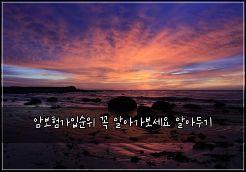 암보험가입순위 꼭 알아가보세요 알아두기
