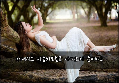 제네시스 자동차보험료 아껴보자 준비하고