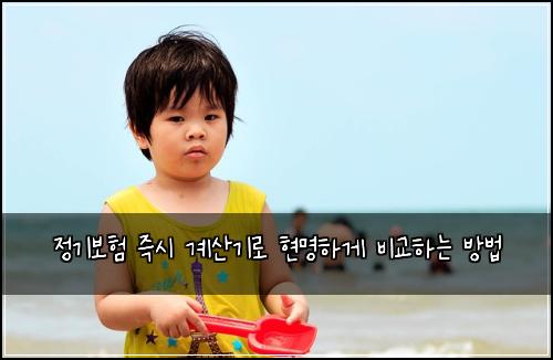 정기보험 즉시 계산기로 현명하게 비교하는 방법