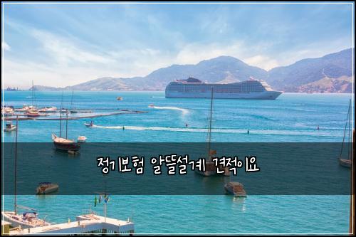 정기보험 알뜰설계  견적이요