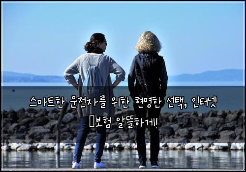  스마트한 운전자를 위한 현명한 선택, 인터넷 車보험 알뜰하게!