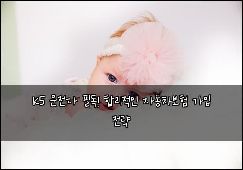  K5 운전자 필독! 합리적인 자동차보험 가입 전략