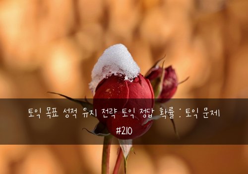 토익 목표 성적 유지 전략 토익 정답 확률 : 토익 문제 #210