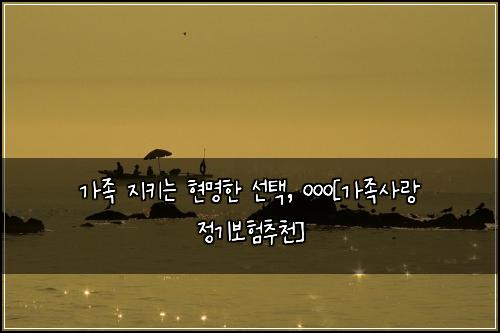 가족 지키는 현명한 선택, ㅇㅇㅇ[가족사랑 정기보험추천]