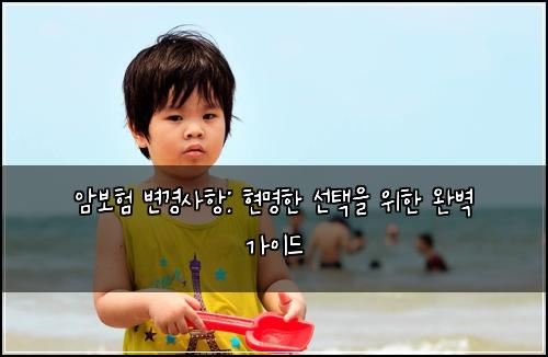 암보험 변경사항: 현명한 선택을 위한 완벽 가이드
