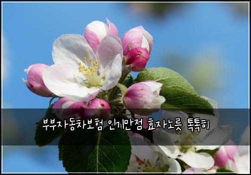 ๋ถ๋ถ์๋์ฐจ๋ณดํ ์ธ๊ธฐ๋ง์ ํจ์๋
ธ๋ฆ ํกํกํ