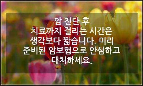 오늘의 이미지