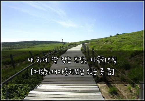  내 차에 딱 맞는 보장, 자동차보험 [제일화재자동차보험 있는 곳 좀]