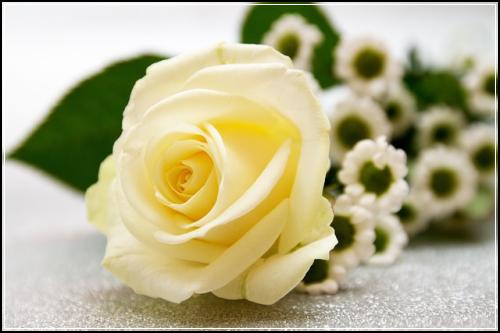 ํ ์ต ๋ฌธ์ฅ ๊ตฌ์กฐ ํ ์ต๊ณผ ํ ํ ์ฐจ์ด : ํ ์ต ๋ฌธ์ #35_17