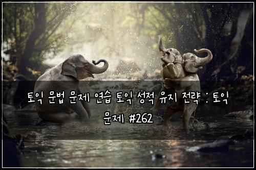 토익 문법 문제 연습 토익 성적 유지 전략 : 토익 문제 #262