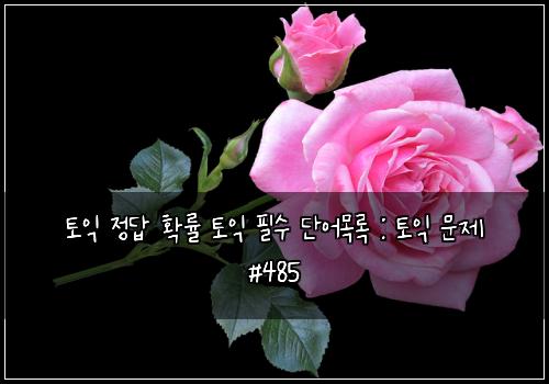 토익 정답 확률 토익 필수 단어목록 : 토익 문제 #485