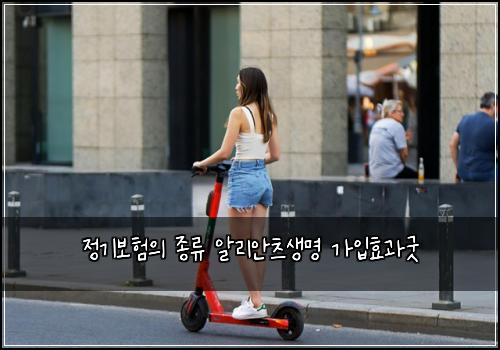 정기보험의 종류 알리안츠생명 가입효과굿