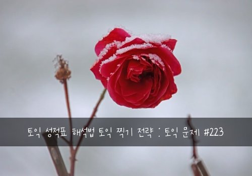 토익 성적표 해석법 토익 찍기 전략 : 토익 문제 #223