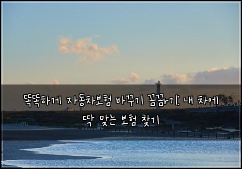  똑똑하게 자동차보험 바꾸기 꼼꼼r기: 내 차에 딱 맞는 보험 찾기