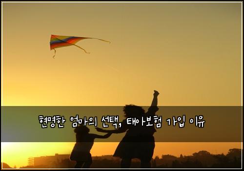 현명한 엄마의 선택, 태아보험 가입 이유