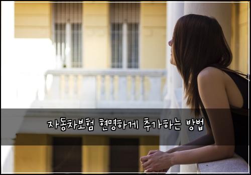 자동차보험 현명하게 추가하는 방법