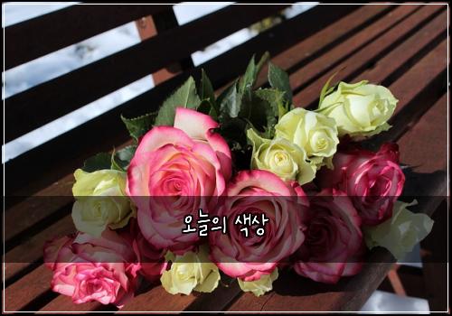 오늘의 색상