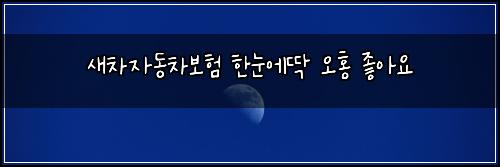 새차자동차보험 한눈에딱  오홍 좋아요