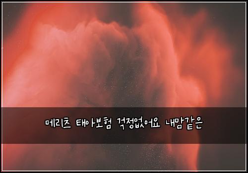 λ©λ¦¬μΈ νμ보ν κ±±μ μμ΄μ λ΄λ§κ°μ
