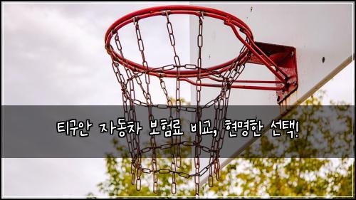 티구안 자동차 보험료 비교, 현명한 선택!
