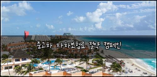 중고차 자차보험료 절약 캠페인