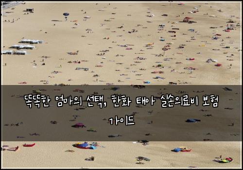 똑똑한 엄마의 선택, 한화 태아 실손의료비 보험 가이드