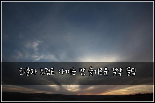 화물차 보험료 아끼는 법: 슬기로운 절약 꿀팁