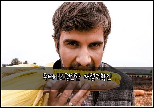 ์ฃผํ์๋ณดํ์ ํ ์ ๋ ดํํ์ธ
