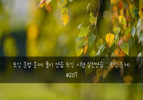 토익 문법 문제 풀이 연습 토익 시험 실전연습 : 토익 문제 #207