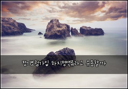 정기보험가입 하지정맥류라고 유용할까