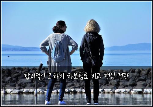  합리적인 모하비 차보험료 비교 핵심 전략